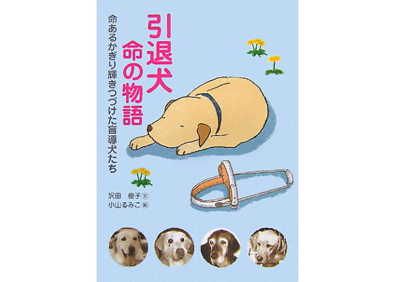 楽天ブックス 引退犬命の物語 命あるかぎり輝きつづけた盲導犬たち 沢田俊子 本 楽天ブックス 引退犬命の物語 命あるかぎり輝きつづけた盲導犬たち 沢田俊子 本